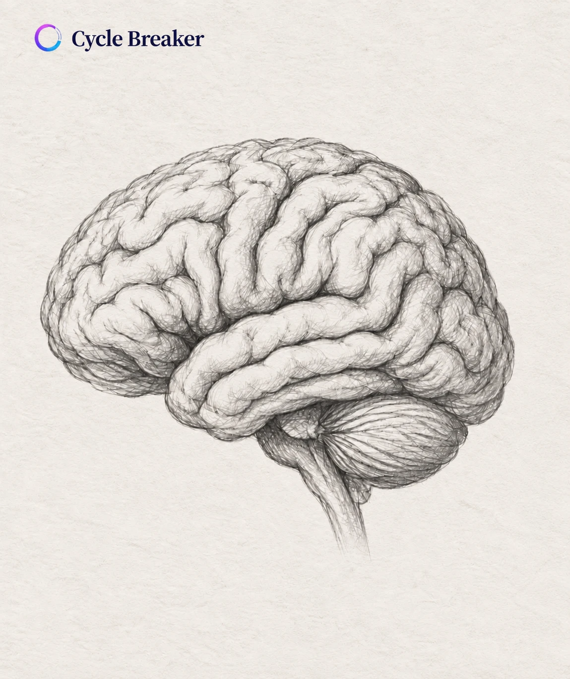 Cycle Breaker brain sketch